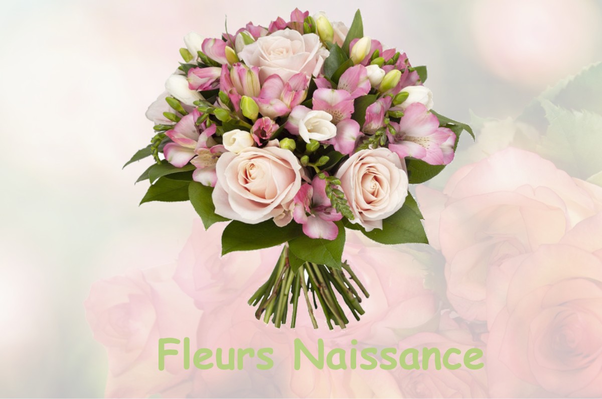 fleurs naissance FARGUES-SAINT-HILAIRE
